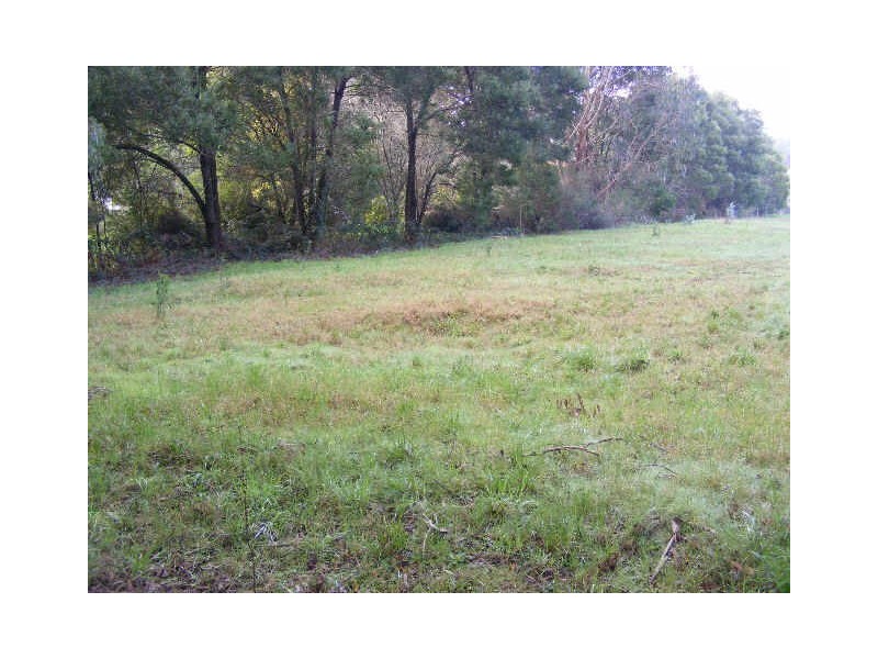 Lot 2/95 Old Beech Forest Road, Gellibrand VIC 3239