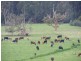 180 & 195 Lardners Track, Gellibrand VIC 3239