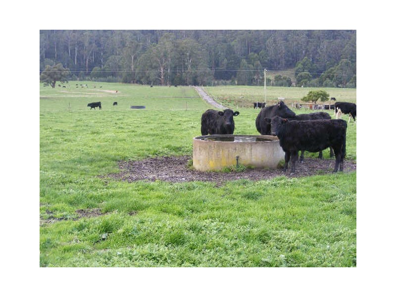 180 & 195 Lardners Track, Gellibrand VIC 3239