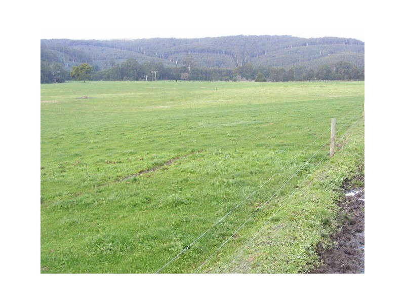 180 & 195 Lardners Track, Gellibrand VIC 3239