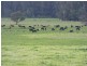 180 & 195 Lardners Track, Gellibrand VIC 3239