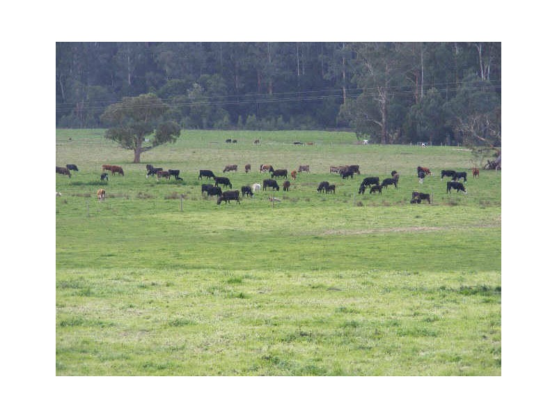 180 & 195 Lardners Track, Gellibrand VIC 3239
