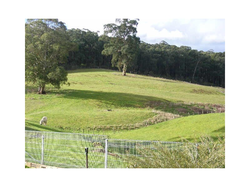 15 Maxwell Road, Kawarren VIC 3249