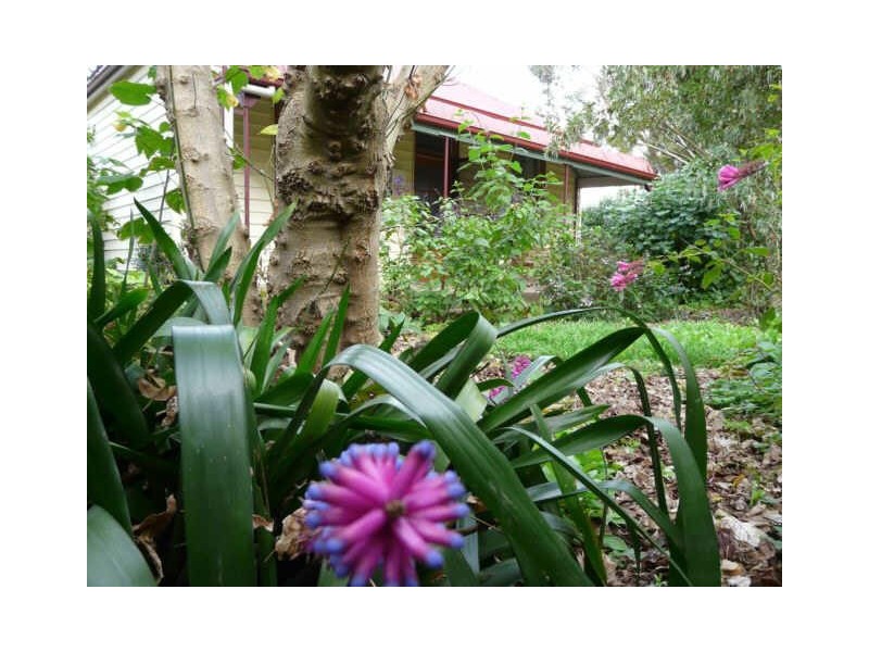 5 McCarthys Road, Warrion VIC 3249