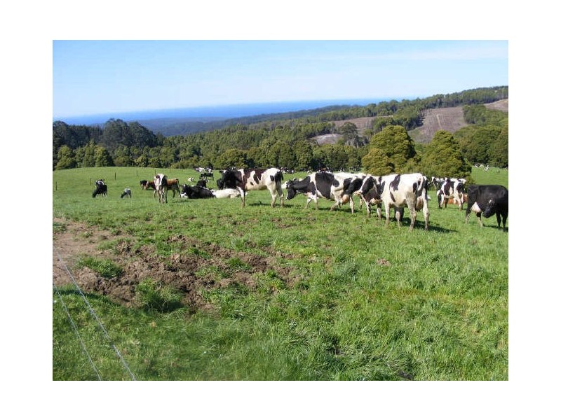 5190 Colac Lavers Hill Road, Lavers Hill VIC 3238