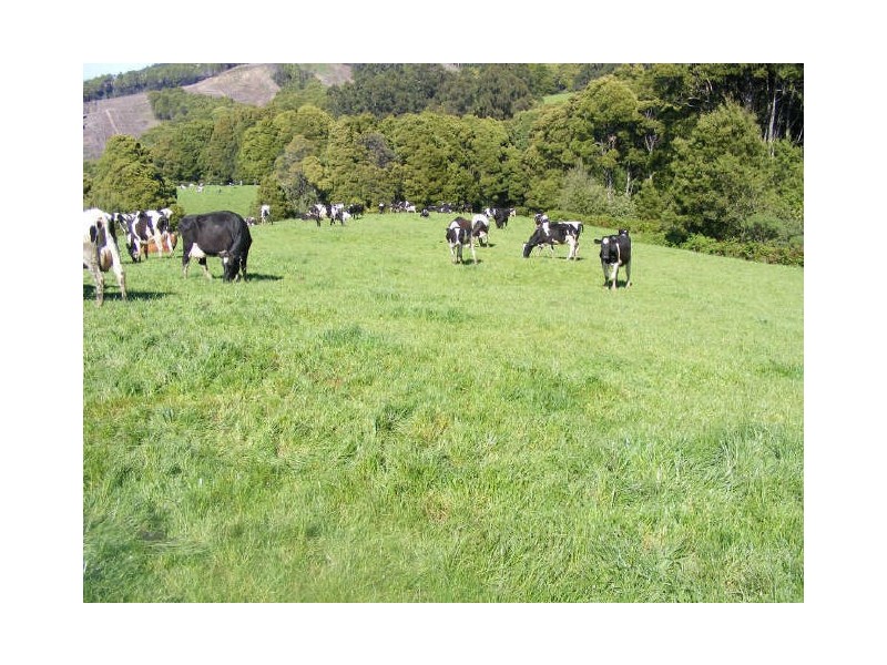 5190 Colac Lavers Hill Road, Lavers Hill VIC 3238