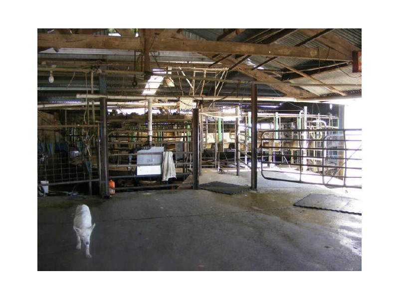 5190 Colac Lavers Hill Road, Lavers Hill VIC 3238