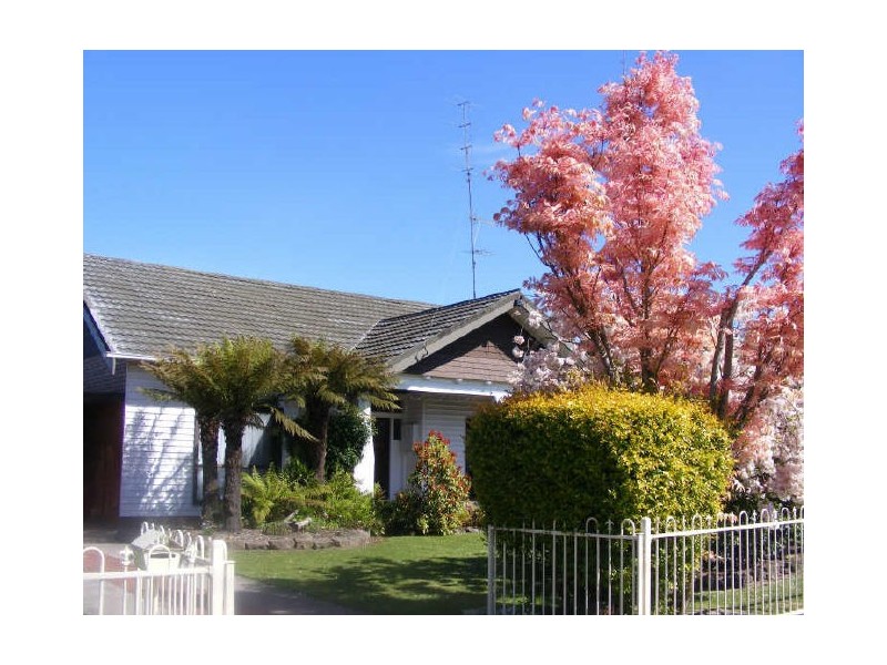 17 Forbes Street, Colac VIC 3250
