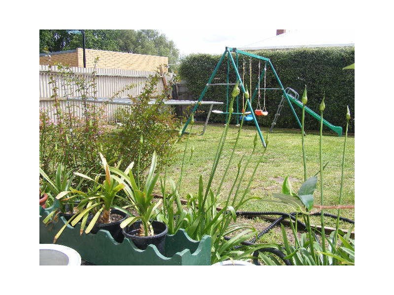 35 Church Street, Colac VIC 3250