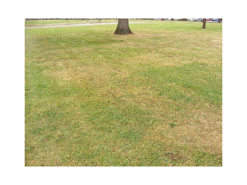 470 Birregurra Road, Birregurra VIC 3242