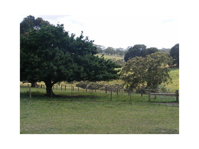 185 Shorts Road, Elliminyt VIC 3250