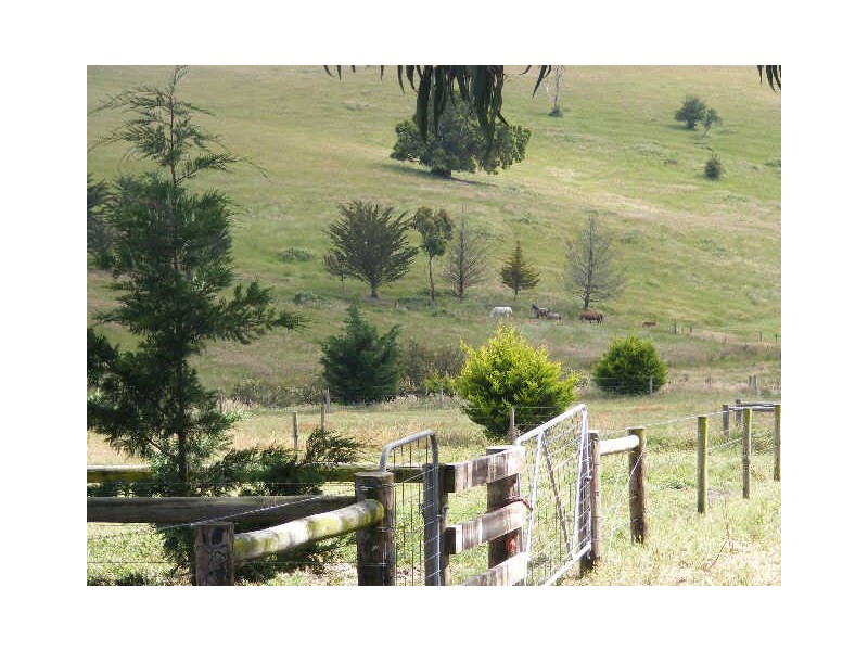 185 Shorts Road, Elliminyt VIC 3250