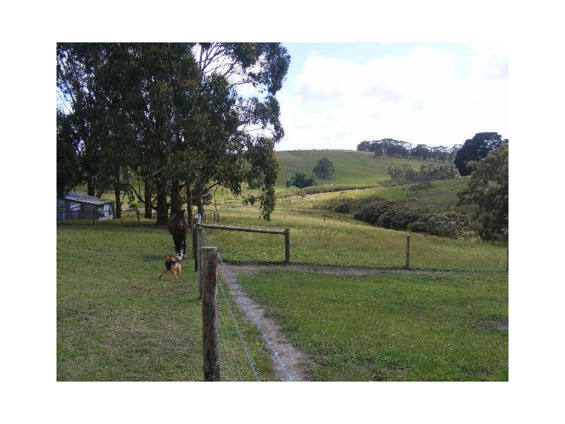 185 Shorts Road, Elliminyt VIC 3250