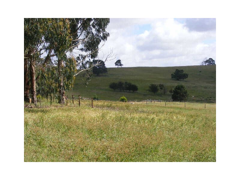 185 Shorts Road, Elliminyt VIC 3250