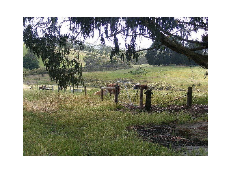 185 Shorts Road, Elliminyt VIC 3250