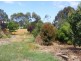 74 Beal Street, Birregurra VIC 3242