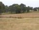 125 Robinson Road, Barongarook VIC 3249