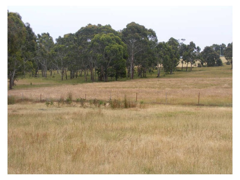 125 Robinson Road, Barongarook VIC 3249