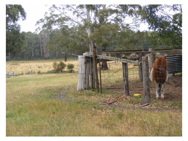 125 Robinson Road, Barongarook VIC 3249