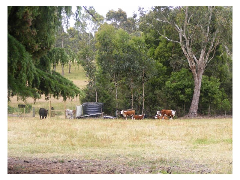 125 Robinson Road, Barongarook VIC 3249