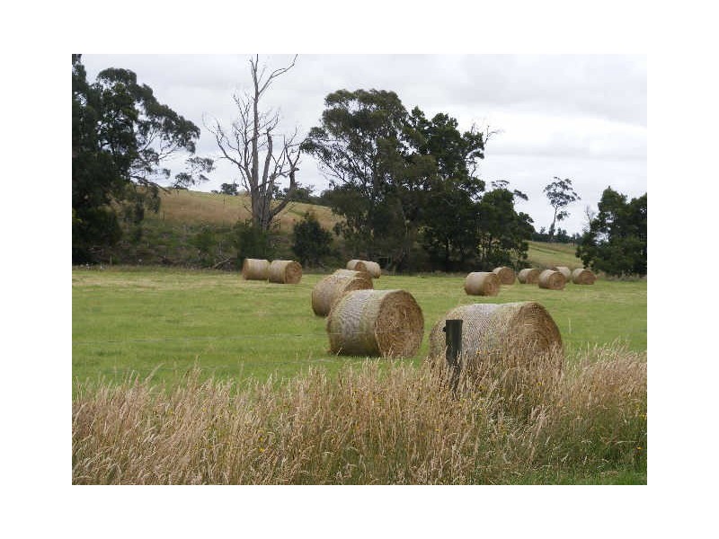 1353 Birregurra Forest Road, Barwon Downs VIC 3243