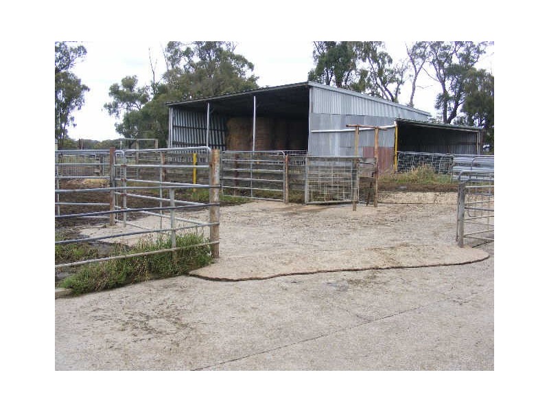 1353 Birregurra Forest Road, Barwon Downs VIC 3243