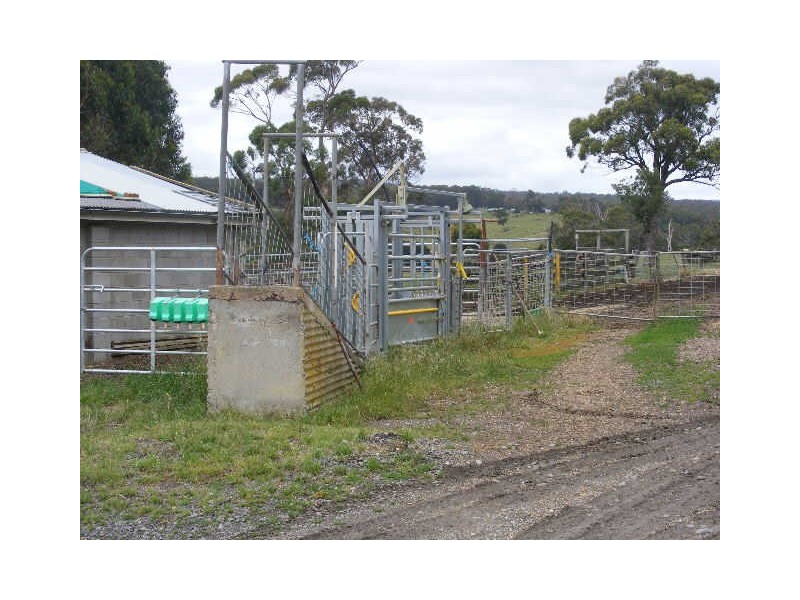 1353 Birregurra Forest Road, Barwon Downs VIC 3243