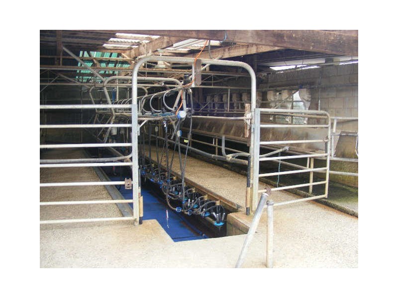 1353 Birregurra Forest Road, Barwon Downs VIC 3243