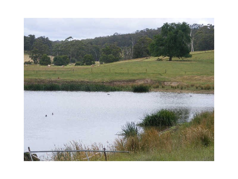 1353 Birregurra Forest Road, Barwon Downs VIC 3243