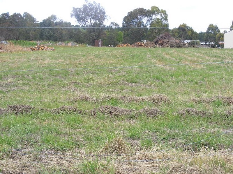 20 Saunders Street, Colac VIC 3250