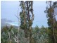 35 Hiders Access, Yuulong VIC 3237