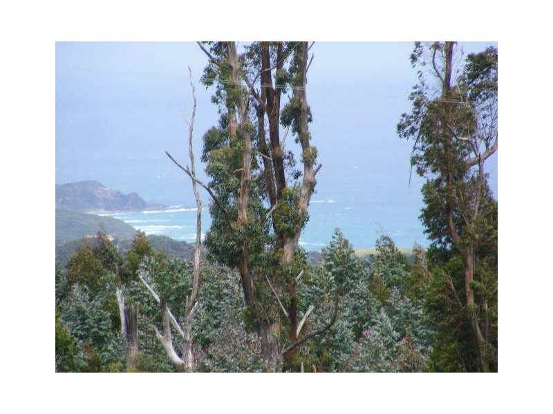 35 Hiders Access, Yuulong VIC 3237