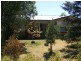 61 Barwon Terrace, Winchelsea VIC 3241