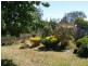 61 Barwon Terrace, Winchelsea VIC 3241