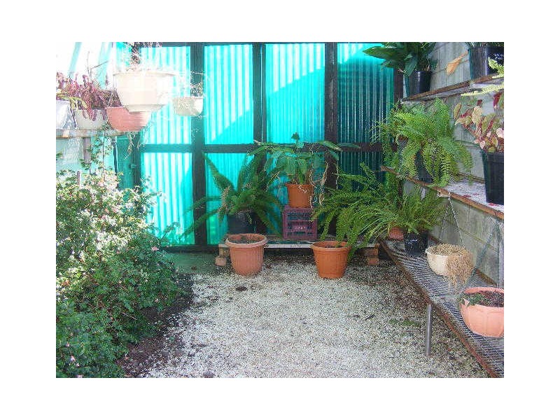 13 Wynne Street, Colac VIC 3250