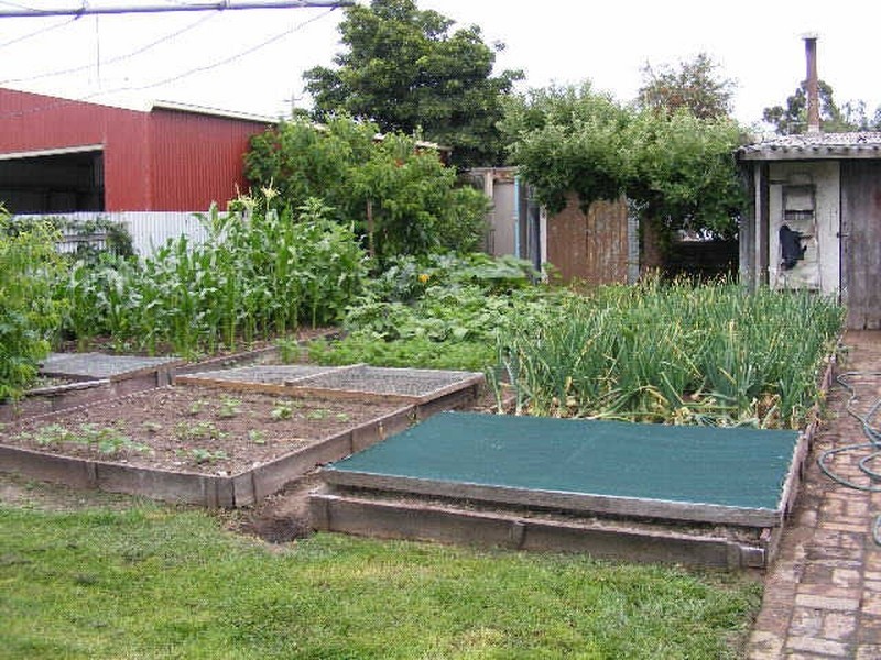 53 Armstrong Street, Colac VIC 3250