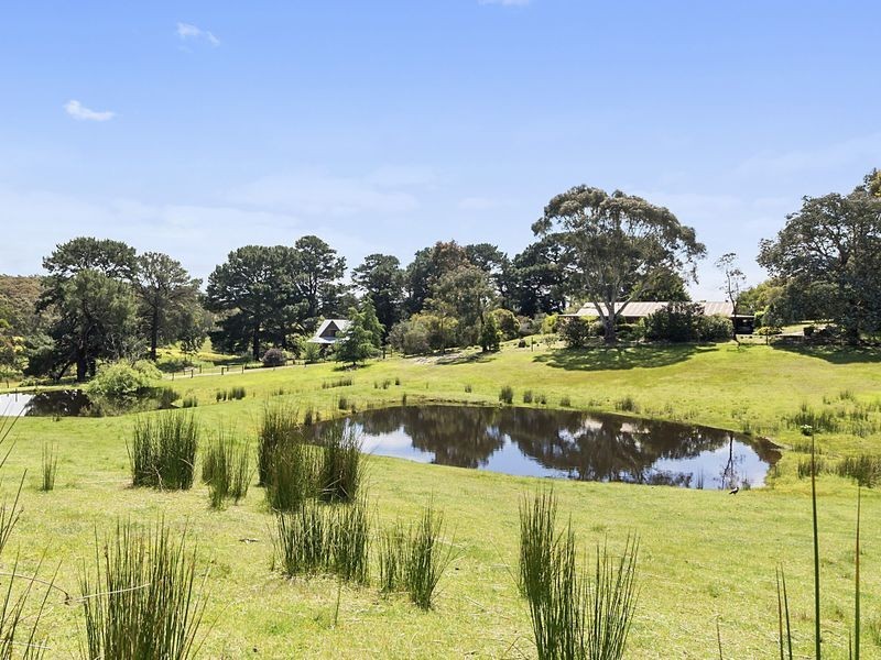 205 Shorts Road, Elliminyt VIC 3250