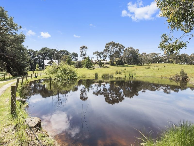 205 Shorts Road, Elliminyt VIC 3250