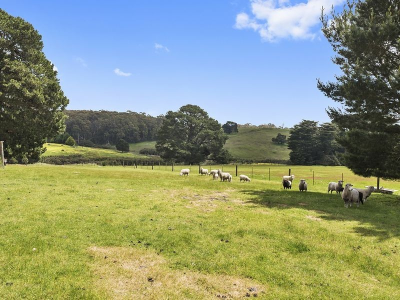 205 Shorts Road, Elliminyt VIC 3250