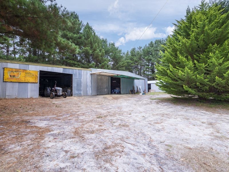 55 Bushbys Road, Barongarook VIC 3249