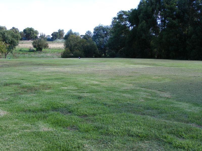 4/56 Dowling Street, Elliminyt VIC 3250