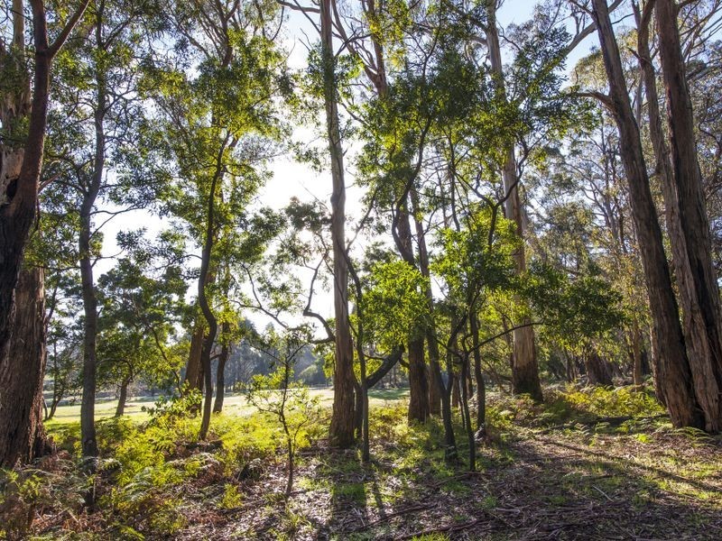 85 Bushbys Road, Barongarook VIC 3249