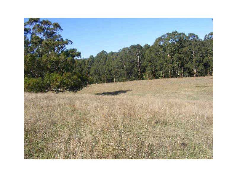 1890 Colac Lavers Hill Road, Kawarren VIC 3249