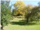 1890 Colac Lavers Hill Road, Kawarren VIC 3249