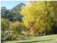 1890 Colac Lavers Hill Road, Kawarren VIC 3249