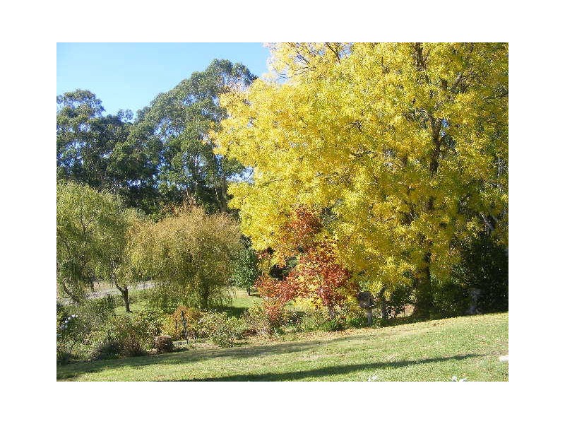 1890 Colac Lavers Hill Road, Kawarren VIC 3249
