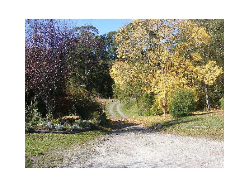 1890 Colac Lavers Hill Road, Kawarren VIC 3249