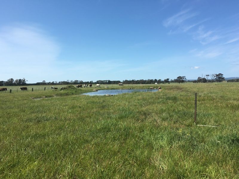 4830 Princes Highway, Birregurra VIC 3242