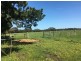 4830 Princes Highway, Birregurra VIC 3242