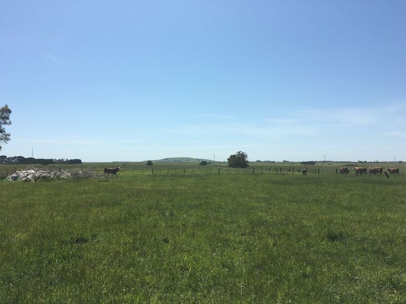 4830 Princes Highway, Birregurra VIC 3242